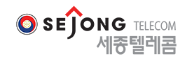 세종텔레콤
